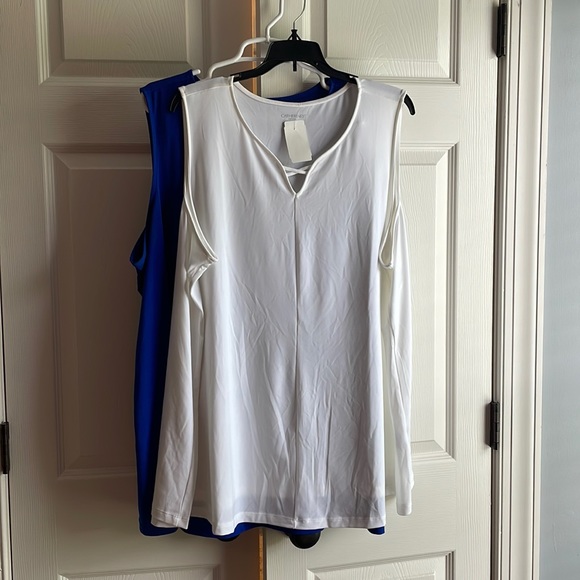 Catherines Tops - 2 tops